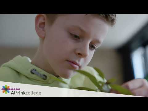 Alfrinkcollege: een les op het Alfrink