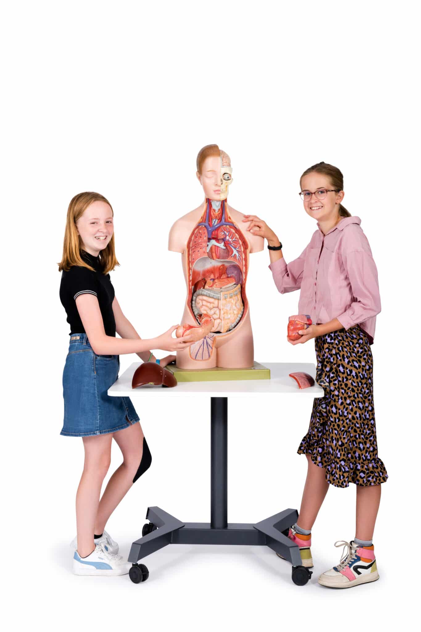 LMF_20241015_Alfrink_wit_7873